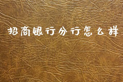 招商银行分行怎么样_https://m.jnlaobingbanjia.com_股市新闻_第1张