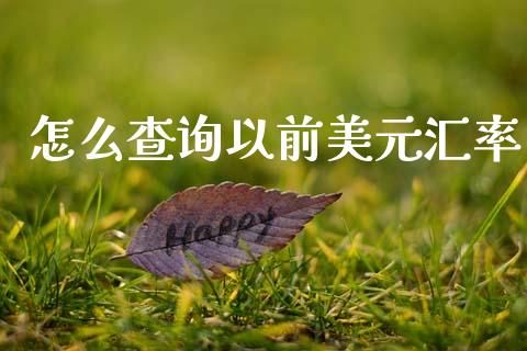 怎么查询以前美元汇率_https://m.jnlaobingbanjia.com_股市新闻_第1张