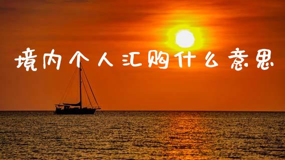 境内个人汇购什么意思_https://m.jnlaobingbanjia.com_理财规划_第1张