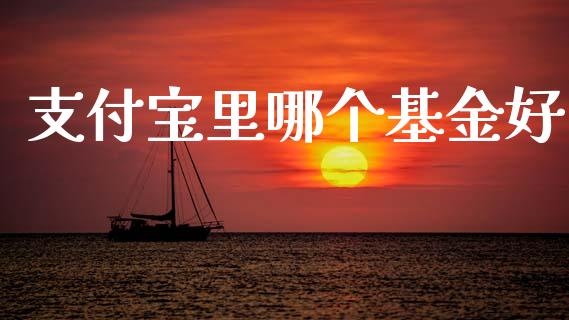支付宝里哪个基金好_https://m.jnlaobingbanjia.com_理财规划_第1张