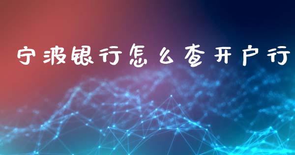 宁波银行怎么查开户行_https://m.jnlaobingbanjia.com_股市新闻_第1张
