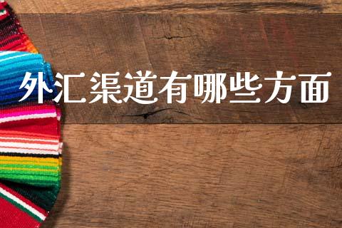 外汇渠道有哪些方面_https://m.jnlaobingbanjia.com_金融监管_第1张