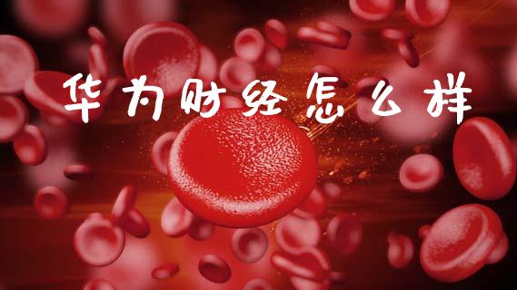华为财经怎么样_https://m.jnlaobingbanjia.com_股市新闻_第1张