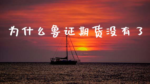 为什么鲁证期货没有了_https://m.jnlaobingbanjia.com_理财规划_第1张
