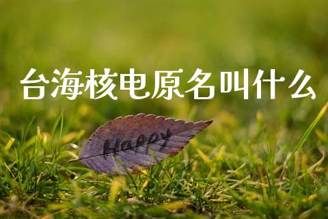 台海核电原名叫什么_https://m.jnlaobingbanjia.com_区块链_第1张