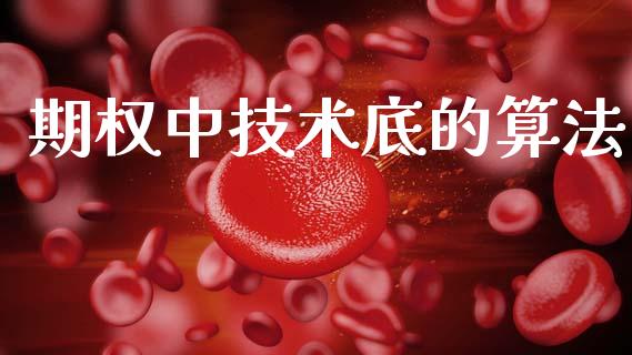 期权中技术底的算法_https://m.jnlaobingbanjia.com_金融监管_第1张