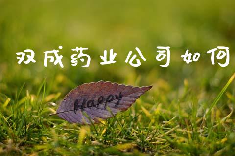 双成药业公司如何_https://m.jnlaobingbanjia.com_基金市场_第1张