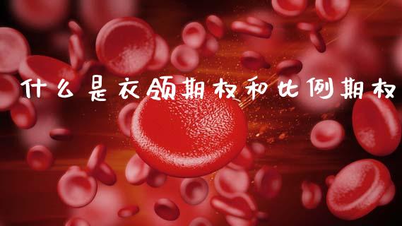 什么是衣领期权和比例期权_https://m.jnlaobingbanjia.com_股市新闻_第1张