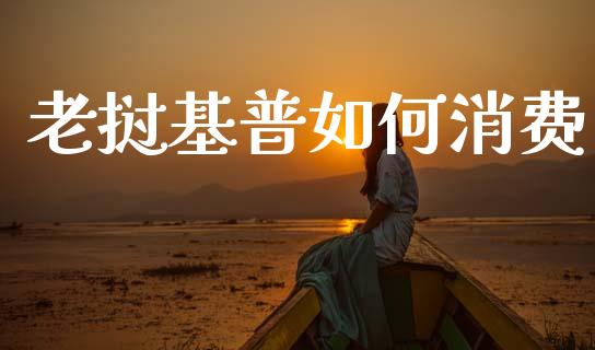 老挝基普如何消费_https://m.jnlaobingbanjia.com_基金市场_第1张