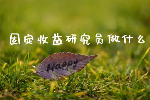 固定收益研究员做什么_https://m.jnlaobingbanjia.com_金融监管_第1张