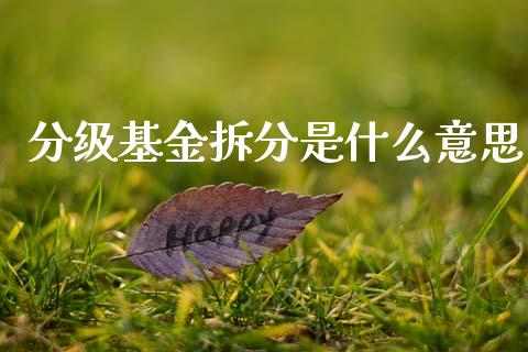 分级基金拆分是什么意思_https://m.jnlaobingbanjia.com_全球市场_第1张