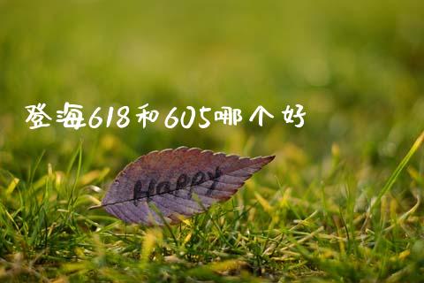 登海618和605哪个好_https://m.jnlaobingbanjia.com_基金市场_第1张