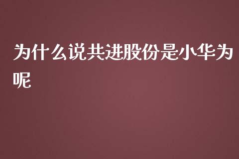 为什么说共进股份是小华为呢_https://m.jnlaobingbanjia.com_基金市场_第1张