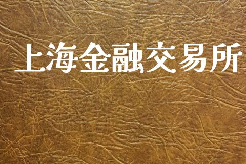 上海金融交易所_https://m.jnlaobingbanjia.com_全球市场_第1张
