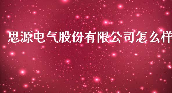 思源电气股份有限公司怎么样_https://m.jnlaobingbanjia.com_理财规划_第1张