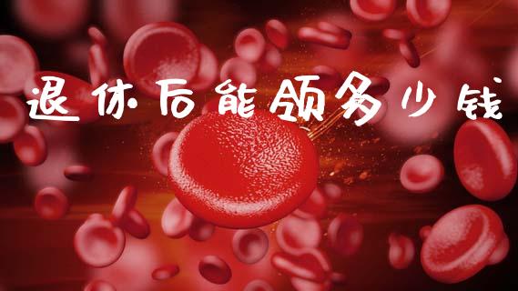 退休后能领多少钱_https://m.jnlaobingbanjia.com_金融监管_第1张