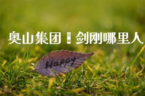 奥山集团邬剑刚哪里人_https://m.jnlaobingbanjia.com_区块链_第1张