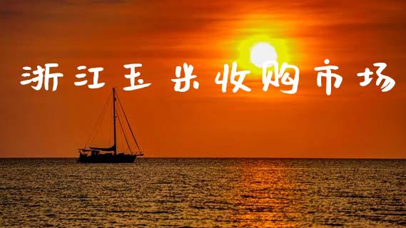浙江玉米收购市场_https://m.jnlaobingbanjia.com_股市新闻_第1张