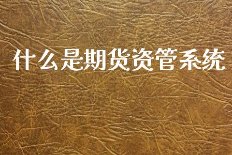 什么是期货资管系统_https://m.jnlaobingbanjia.com_金融监管_第1张