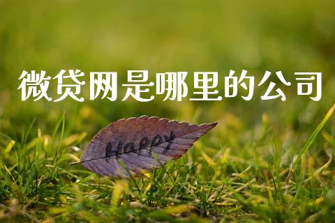 微贷网是哪里的公司_https://m.jnlaobingbanjia.com_金融监管_第1张