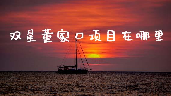 双星董家口项目在哪里_https://m.jnlaobingbanjia.com_金融监管_第1张
