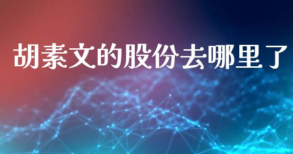 胡素文的股份去哪里了_https://m.jnlaobingbanjia.com_理财规划_第1张