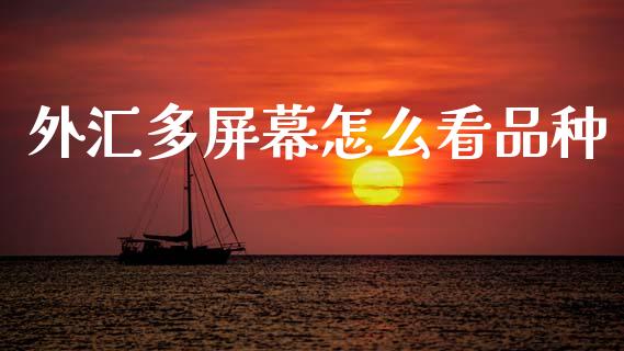 外汇多屏幕怎么看品种_https://m.jnlaobingbanjia.com_基金市场_第1张