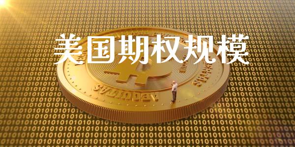 美国期权规模_https://m.jnlaobingbanjia.com_全球市场_第1张