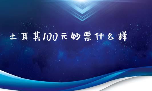 土耳其100元钞票什么样_https://m.jnlaobingbanjia.com_理财规划_第1张