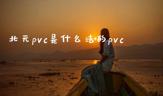 北元pvc是什么法的pvc_https://m.jnlaobingbanjia.com_基金市场_第1张