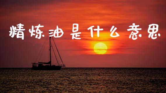 精炼油是什么意思_https://m.jnlaobingbanjia.com_金融监管_第1张