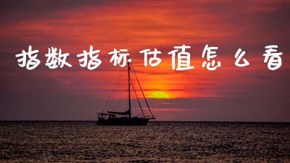 指数指标估值怎么看_https://m.jnlaobingbanjia.com_基金市场_第1张