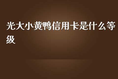 光大小黄鸭信用卡是什么等级_https://m.jnlaobingbanjia.com_金融监管_第1张