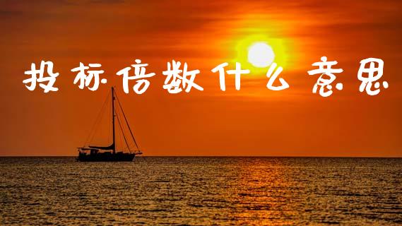 投标倍数什么意思_https://m.jnlaobingbanjia.com_股市新闻_第1张