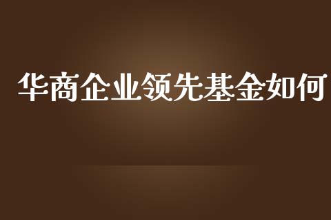 华商企业领先基金如何_https://m.jnlaobingbanjia.com_金融监管_第1张