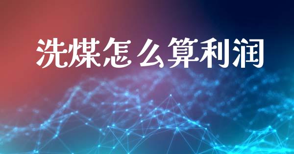 洗煤怎么算利润_https://m.jnlaobingbanjia.com_金融监管_第1张