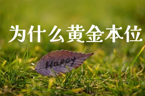 为什么黄金本位_https://m.jnlaobingbanjia.com_区块链_第1张