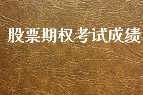 股票期权考试成绩_https://m.jnlaobingbanjia.com_基金市场_第1张