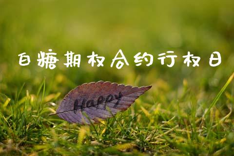 白糖期权合约行权日_https://m.jnlaobingbanjia.com_金融监管_第1张