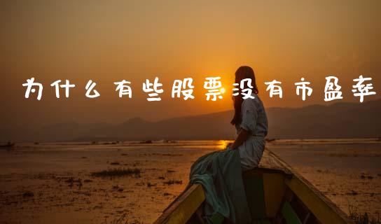 为什么有些股票没有市盈率_https://m.jnlaobingbanjia.com_基金市场_第1张