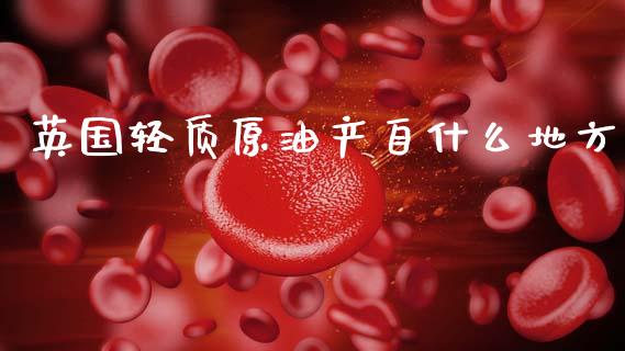 英国轻质原油产自什么地方_https://m.jnlaobingbanjia.com_理财规划_第1张