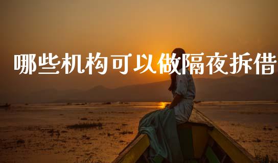 哪些机构可以做隔夜拆借_https://m.jnlaobingbanjia.com_基金市场_第1张