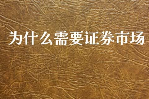 为什么需要证券市场_https://m.jnlaobingbanjia.com_基金市场_第1张