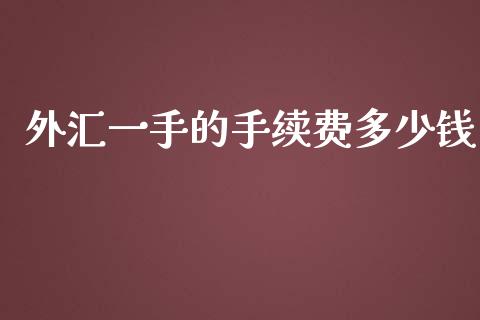 外汇一手的手续费多少钱_https://m.jnlaobingbanjia.com_股市新闻_第1张