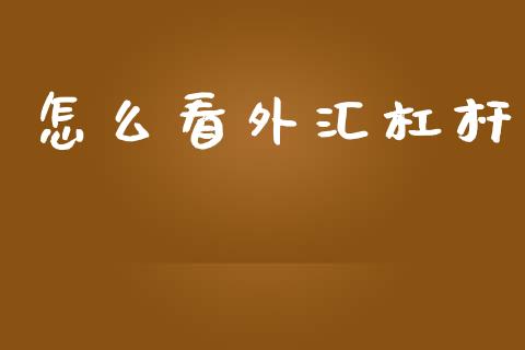 怎么看外汇杠杆_https://m.jnlaobingbanjia.com_金融监管_第1张