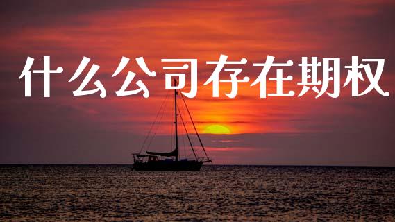 什么公司存在期权_https://m.jnlaobingbanjia.com_区块链_第1张
