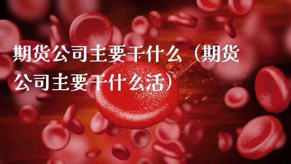 期货公司主要干什么（期货公司主要干什么活）_https://m.jnlaobingbanjia.com_理财规划_第1张