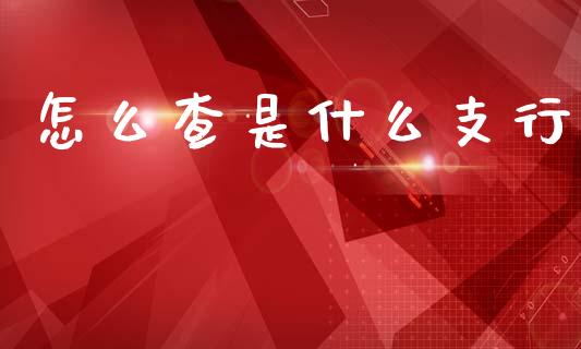 怎么查是什么支行_https://m.jnlaobingbanjia.com_理财规划_第1张