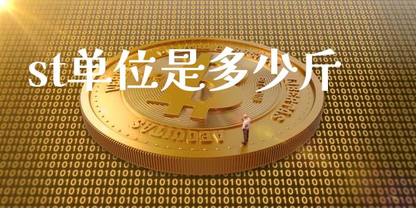 st单位是多少斤_https://m.jnlaobingbanjia.com_理财规划_第1张