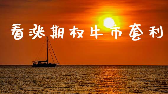 看涨期权牛市套利_https://m.jnlaobingbanjia.com_全球市场_第1张